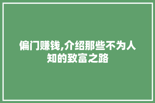 偏门赚钱,介绍那些不为人知的致富之路