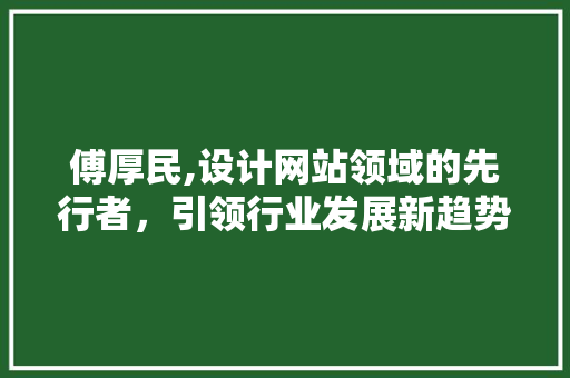 傅厚民,设计网站领域的先行者，引领行业发展新趋势