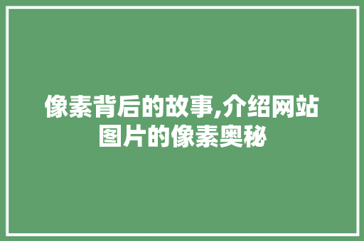 像素背后的故事,介绍网站图片的像素奥秘
