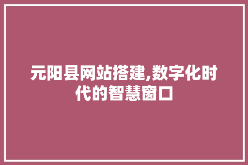 元阳县网站搭建,数字化时代的智慧窗口