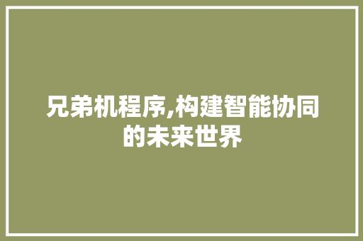 兄弟机程序,构建智能协同的未来世界