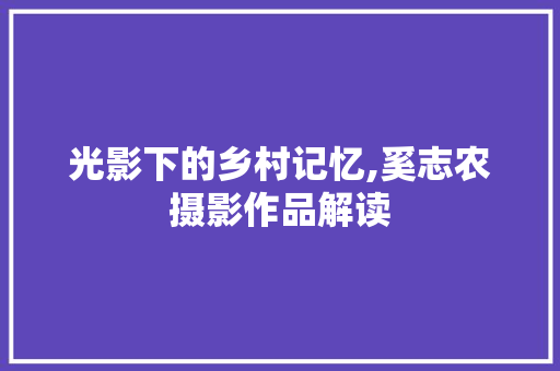 光影下的乡村记忆,奚志农摄影作品解读 光影下的乡村记忆,奚志农摄影作品解读 搜狗SEO