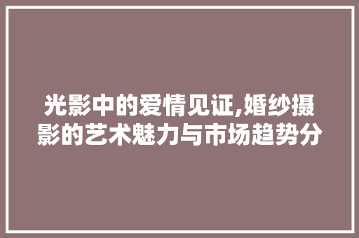 光影中的爱情见证,婚纱摄影的艺术魅力与市场趋势分析 光影中的爱情见证,婚纱摄影的艺术魅力与市场趋势分析 神马SEO