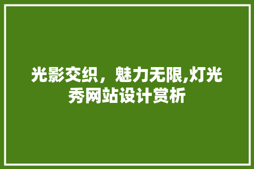 光影交织，魅力无限,灯光秀网站设计赏析 光影交织，魅力无限,灯光秀网站设计赏析 必应SEO