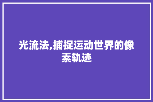 光流法,捕捉运动世界的像素轨迹 光流法,捕捉运动世界的像素轨迹 必应SEO