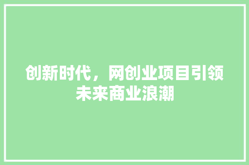 创新时代，网创业项目引领未来商业浪潮