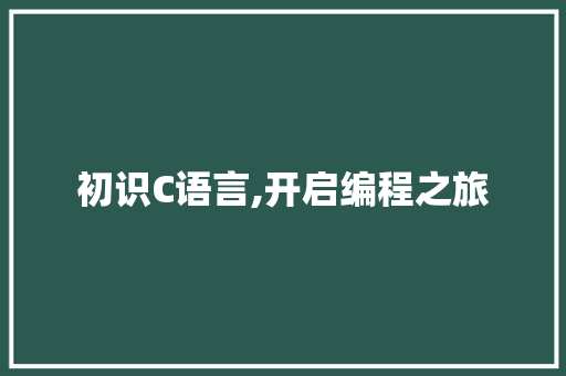 初识C语言,开启编程之旅