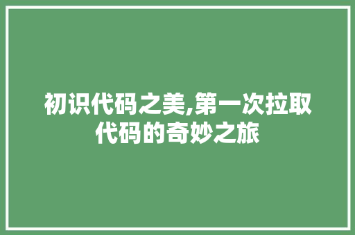初识代码之美,第一次拉取代码的奇妙之旅
