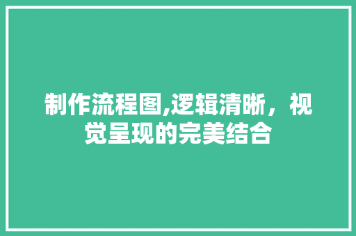 制作流程图,逻辑清晰，视觉呈现的完美结合