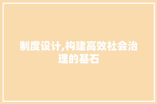 制度设计,构建高效社会治理的基石