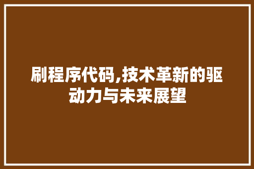 刷程序代码,技术革新的驱动力与未来展望 刷程序代码,技术革新的驱动力与未来展望 SEO关键词