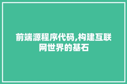 前端源程序代码,构建互联网世界的基石