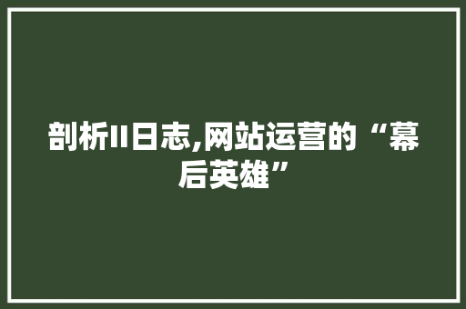 剖析II日志,网站运营的“幕后英雄”
