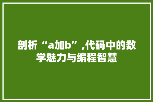 剖析“a加b”,代码中的数学魅力与编程智慧