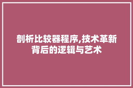 剖析比较器程序,技术革新背后的逻辑与艺术