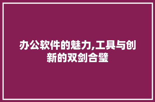 办公软件的魅力,工具与创新的双剑合璧