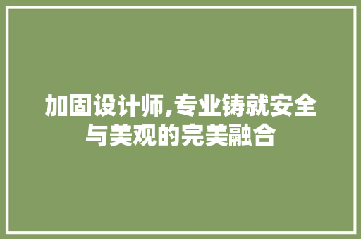 加固设计师,专业铸就安全与美观的完美融合