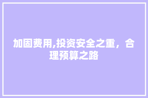 加固费用,投资安全之重，合理预算之路 加固费用,投资安全之重，合理预算之路 网站建设公司