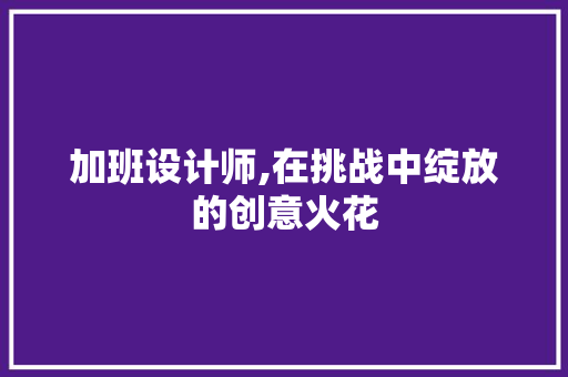 加班设计师,在挑战中绽放的创意火花 加班设计师,在挑战中绽放的创意火花 百度SEO