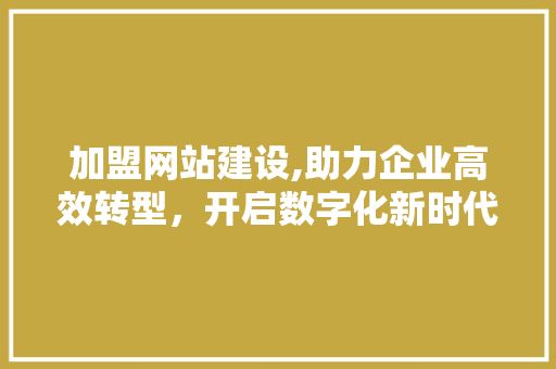 加盟网站建设,助力企业高效转型，开启数字化新时代 加盟网站建设,助力企业高效转型，开启数字化新时代 网站建设公司