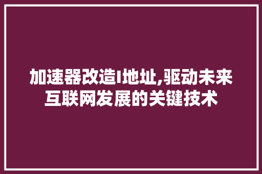 加速器改造I地址,驱动未来互联网发展的关键技术 加速器改造I地址,驱动未来互联网发展的关键技术 百度SEO