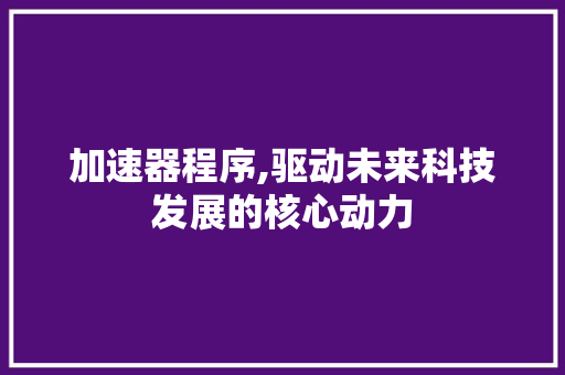 加速器程序,驱动未来科技发展的核心动力 加速器程序,驱动未来科技发展的核心动力 搜狗SEO