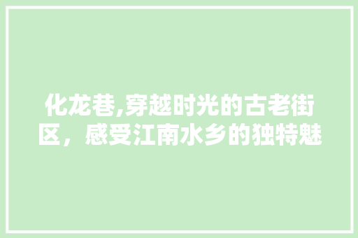 化龙巷,穿越时光的古老街区，感受江南水乡的独特魅力