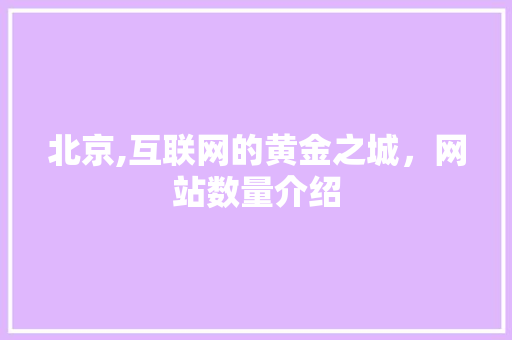 北京,互联网的黄金之城，网站数量介绍