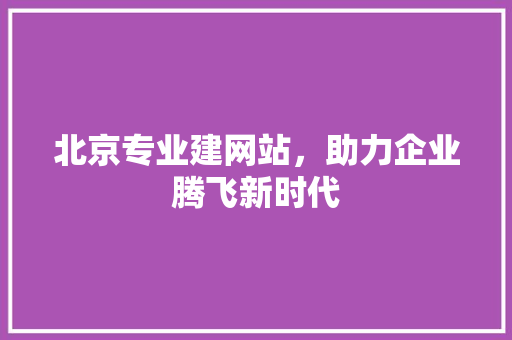 北京专业建网站，助力企业腾飞新时代 北京专业建网站，助力企业腾飞新时代 百度SEO