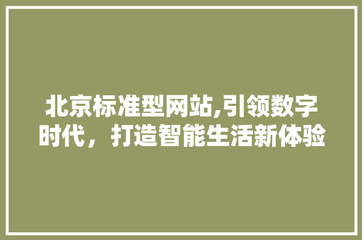 北京标准型网站,引领数字时代，打造智能生活新体验