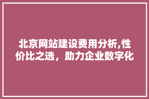 北京网站建设费用分析,性价比之选，助力企业数字化转型
