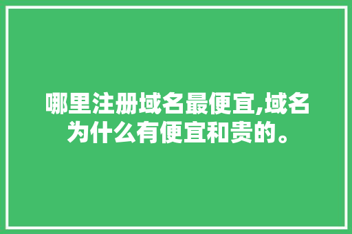 哪里注册域名最便宜,域名为什么有便宜和贵的。