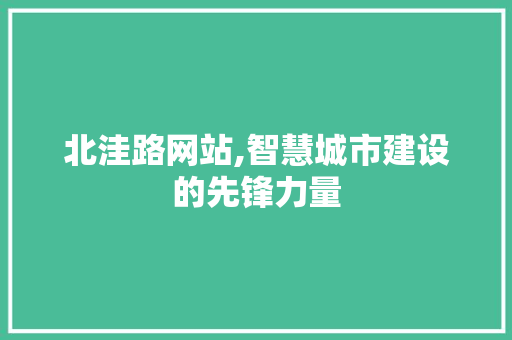 北洼路网站,智慧城市建设的先锋力量