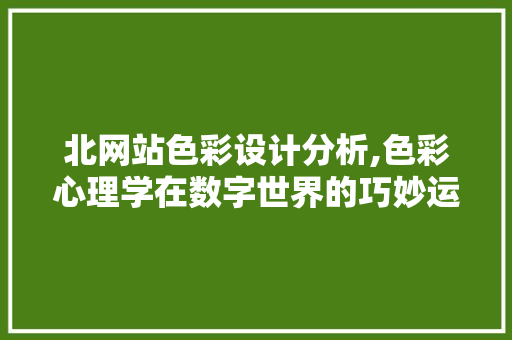 北网站色彩设计分析,色彩心理学在数字世界的巧妙运用