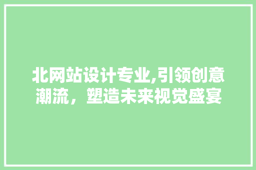 北网站设计专业,引领创意潮流，塑造未来视觉盛宴