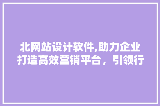 北网站设计软件,助力企业打造高效营销平台，引领行业新潮流