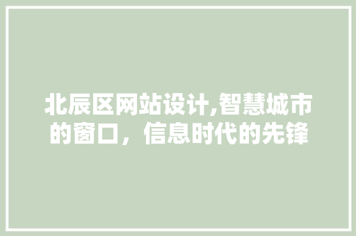 北辰区网站设计,智慧城市的窗口，信息时代的先锋 北辰区网站设计,智慧城市的窗口，信息时代的先锋 百度SEO