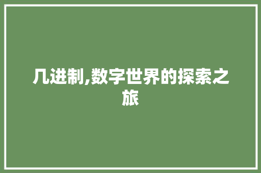 几进制,数字世界的探索之旅