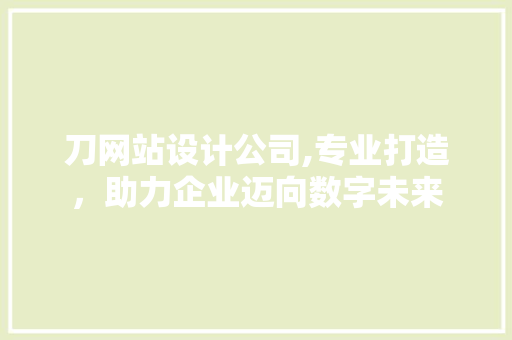 刀网站设计公司,专业打造，助力企业迈向数字未来