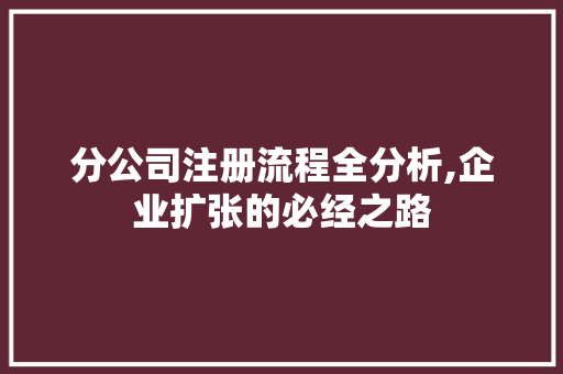 分公司注册流程全分析,企业扩张的必经之路