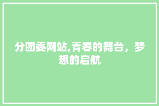 分团委网站,青春的舞台，梦想的启航