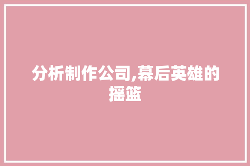 分析制作公司,幕后英雄的摇篮
