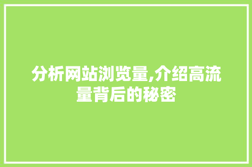 分析网站浏览量,介绍高流量背后的秘密 分析网站浏览量,介绍高流量背后的秘密 必应SEO