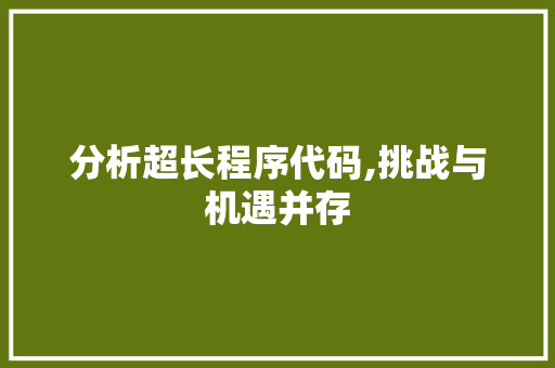 分析超长程序代码,挑战与机遇并存 分析超长程序代码,挑战与机遇并存 网站建设公司