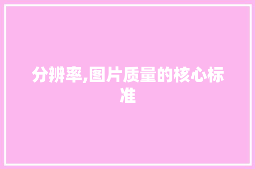 分辨率,图片质量的核心标准