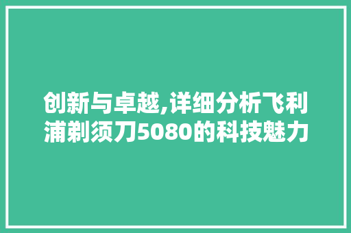 创新与卓越,详细分析飞利浦剃须刀5080的科技魅力 创新与卓越,详细分析飞利浦剃须刀5080的科技魅力 必应SEO