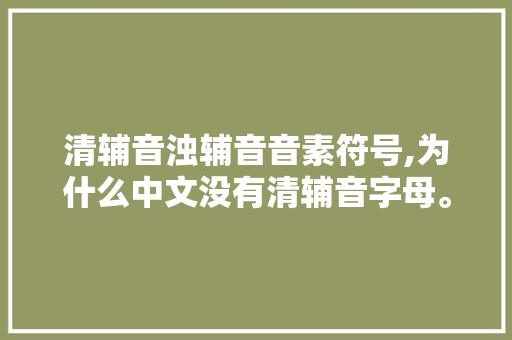 清辅音浊辅音音素符号,为什么中文没有清辅音字母。