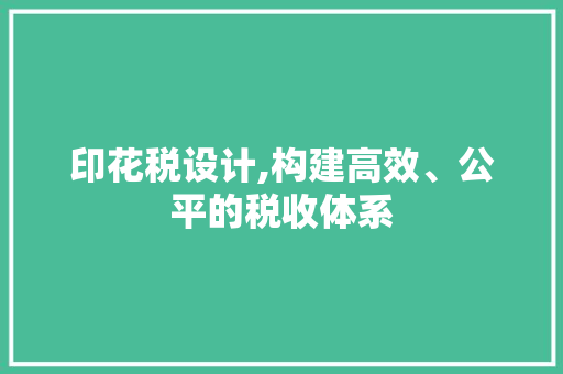 印花税设计,构建高效、公平的税收体系