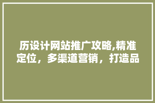 历设计网站推广攻略,精准定位，多渠道营销，打造品牌影响力 历设计网站推广攻略,精准定位，多渠道营销，打造品牌影响力 百度SEO