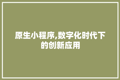 原生小程序,数字化时代下的创新应用 原生小程序,数字化时代下的创新应用 必应SEO